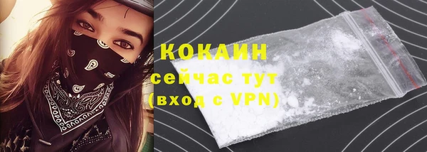 гашик Медногорск