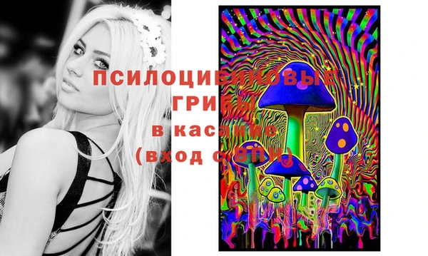 гашик Медногорск