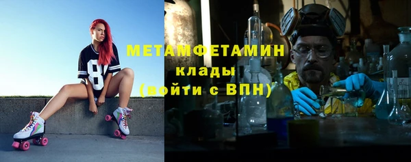 шишки Медвежьегорск