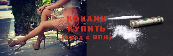 шишки Медвежьегорск