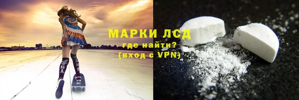 шишки Медвежьегорск
