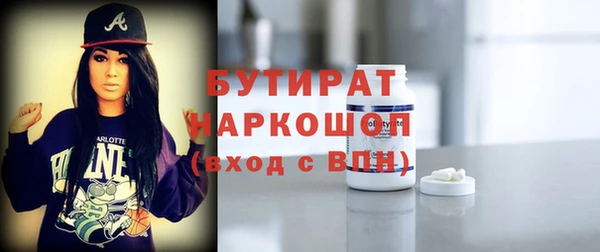 шишки Медвежьегорск