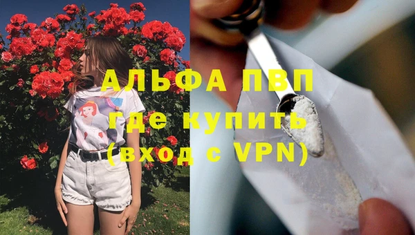 шишки Медвежьегорск