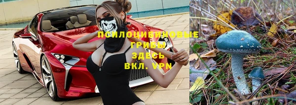 mdpv Мегион