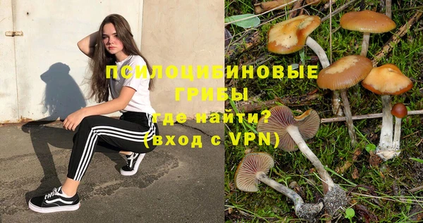 mdpv Мегион
