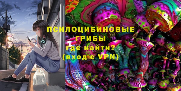 шишки Медвежьегорск