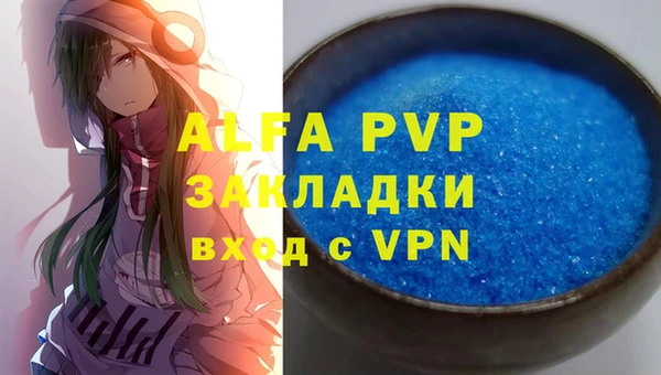 шишки Медвежьегорск