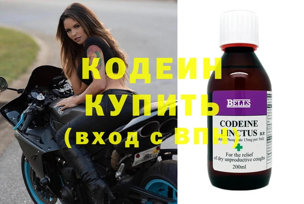 шишки Медвежьегорск