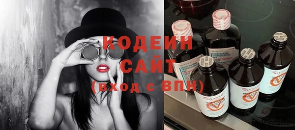 шишки Медвежьегорск