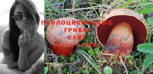 mdpv Мегион