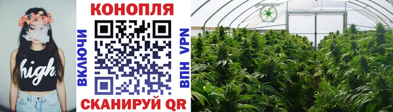 Бошки Шишки Bruce Banner Купить где Лесозаводск